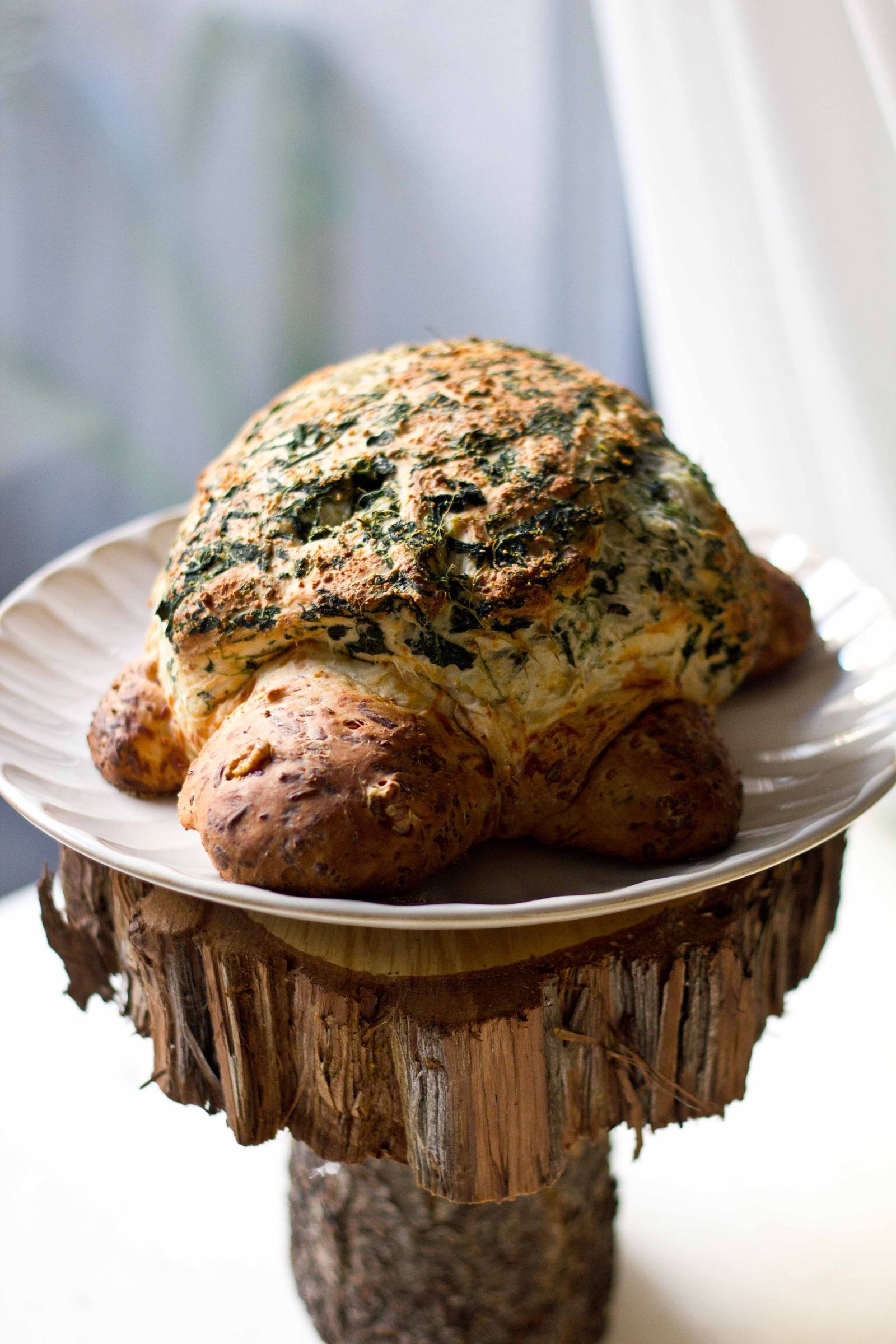 Turtle Bread