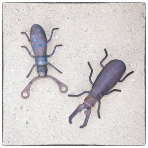 Junk Yard Beetles