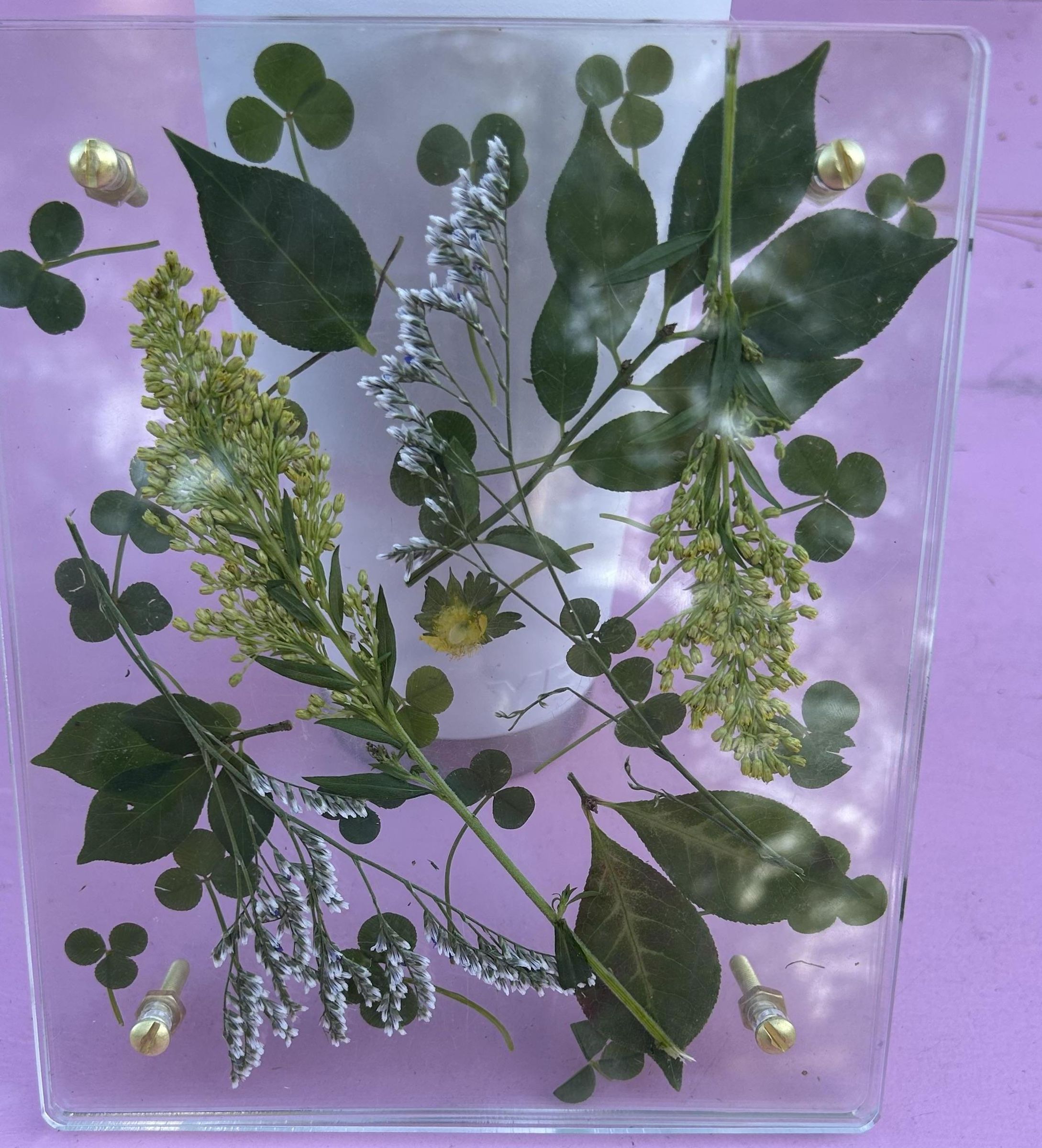 Pressed and Polished Bloom Box 🌸