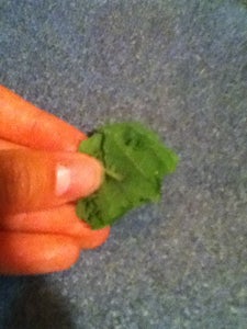 Add Yogurt and Leaves