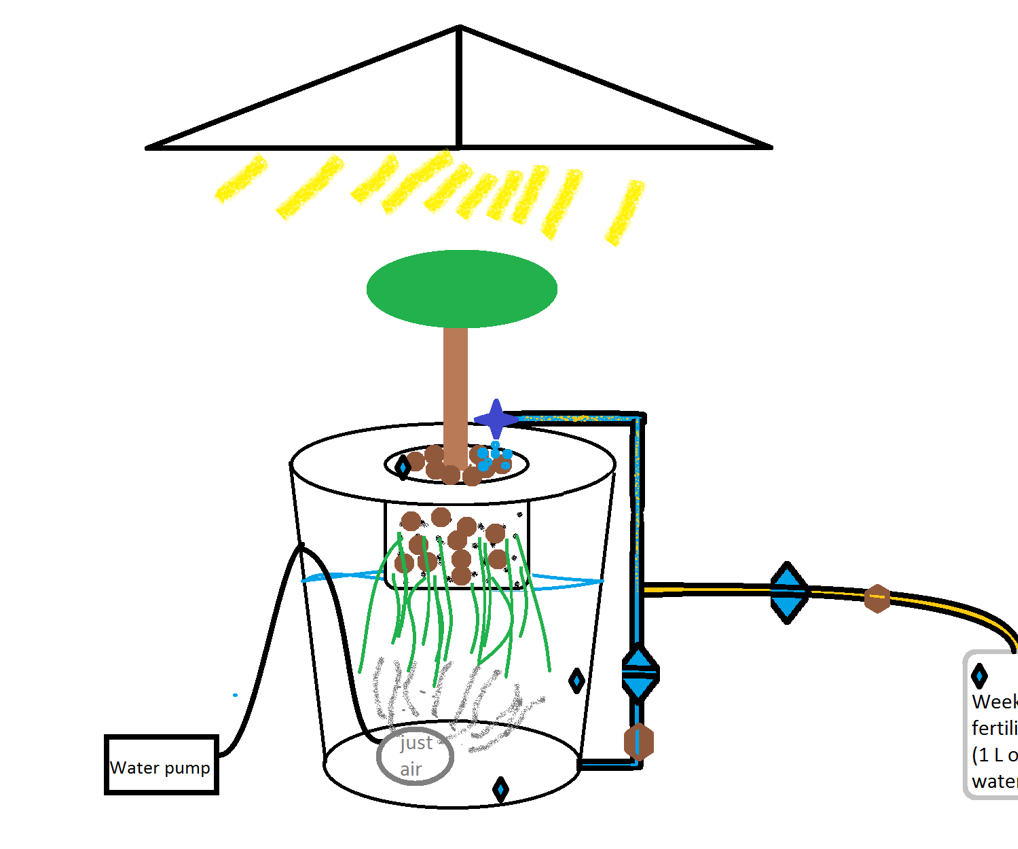 Automated DWC Hydroponic System