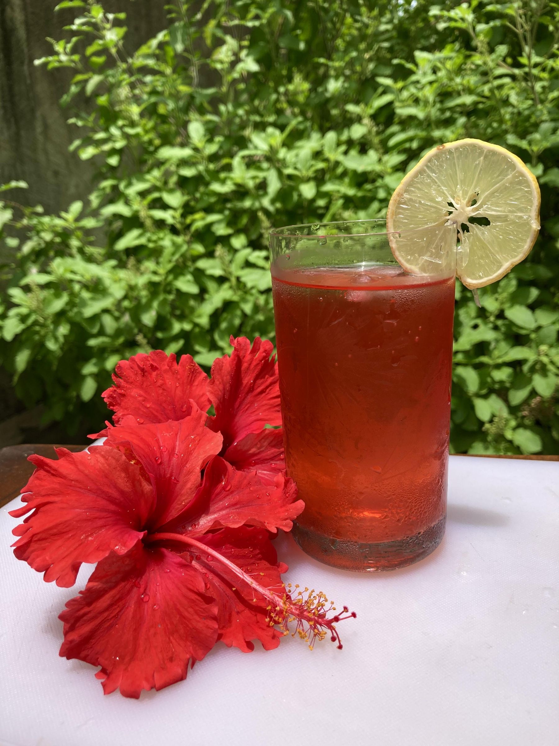 Homemade Hibiscus Syrup (from Homegrown Hibiscus Tree) 7 Steps (with