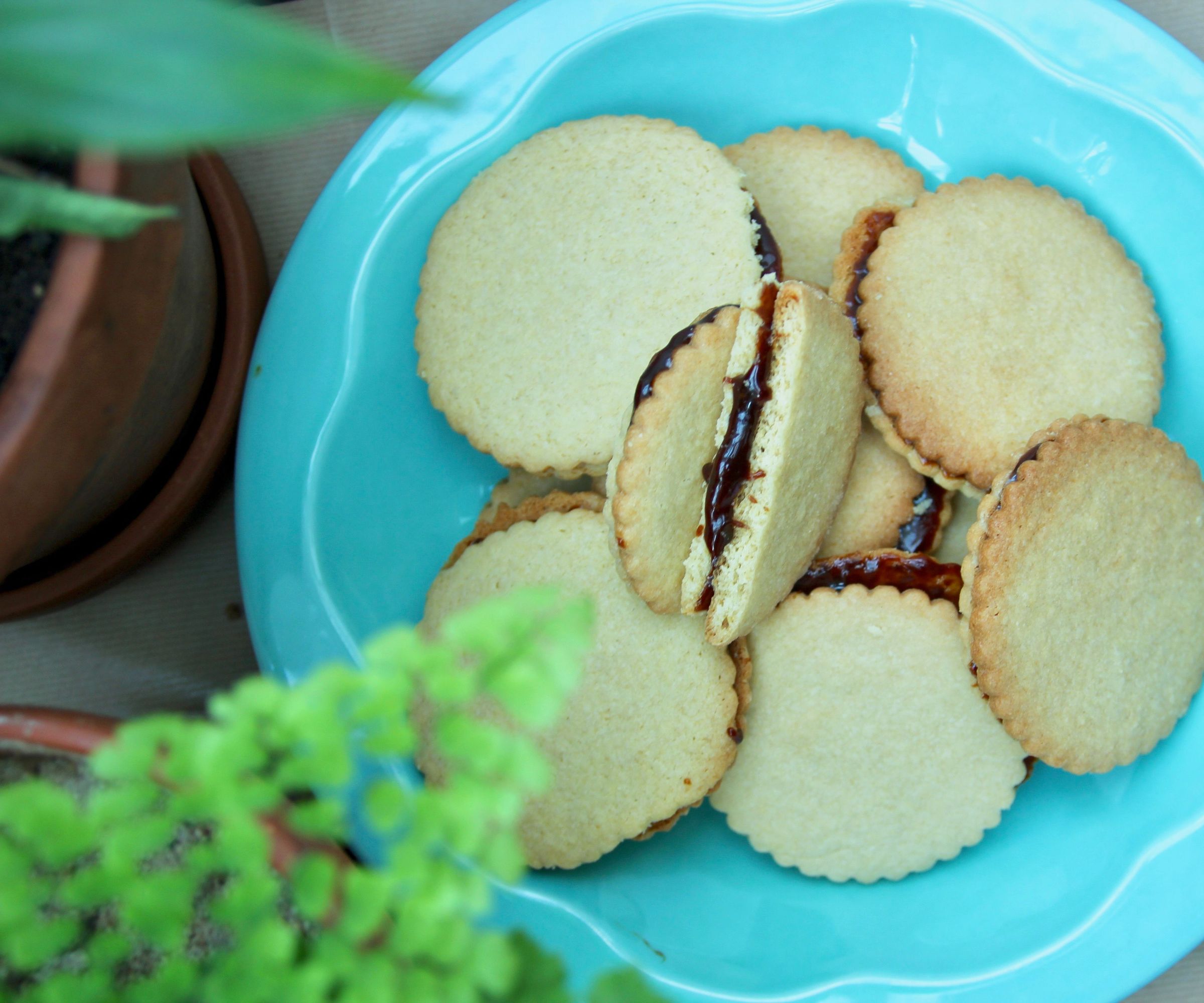 The Best Dutch 'Stroopkoeken' Recipe 