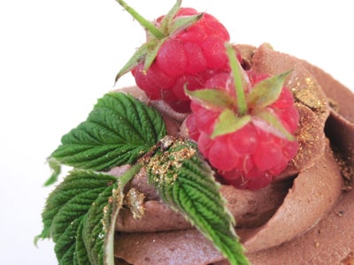 A Woman's Dream Cupcakes + Decorating Tips