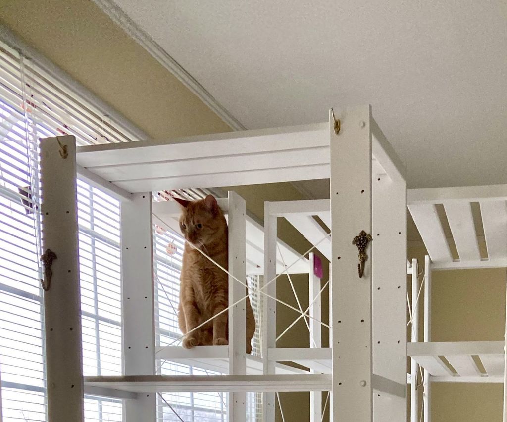 Fixing Wobbly Shelves Instructables