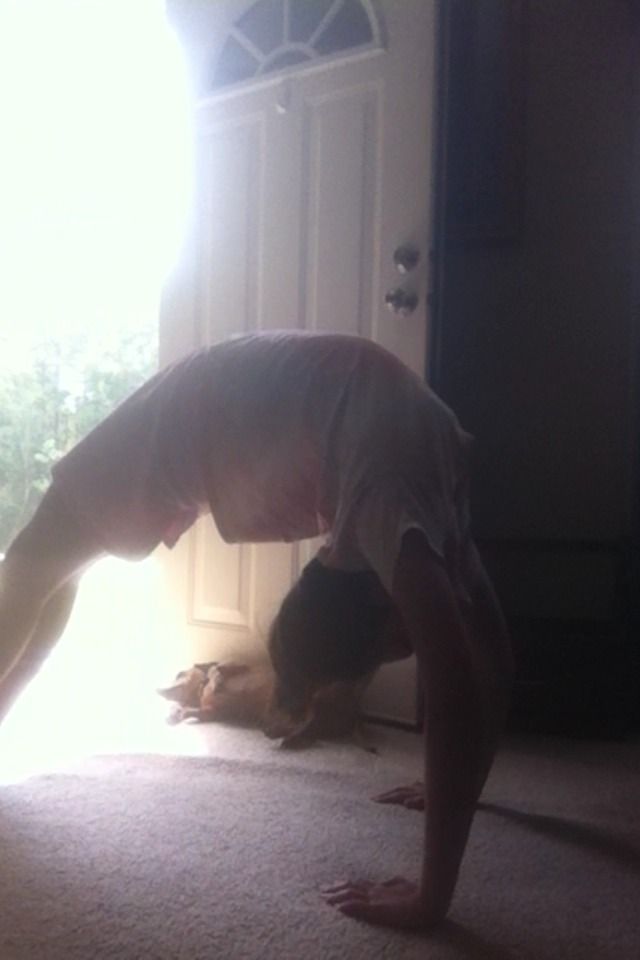 How To Do A Standing Bridge