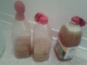 Homemade Super Easy Apple Cider