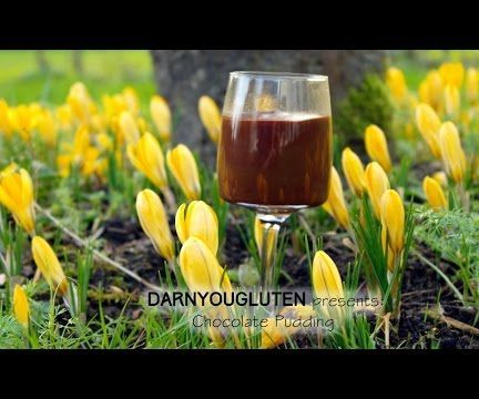 Chocolate Pudding (Lactose Free) (GF)