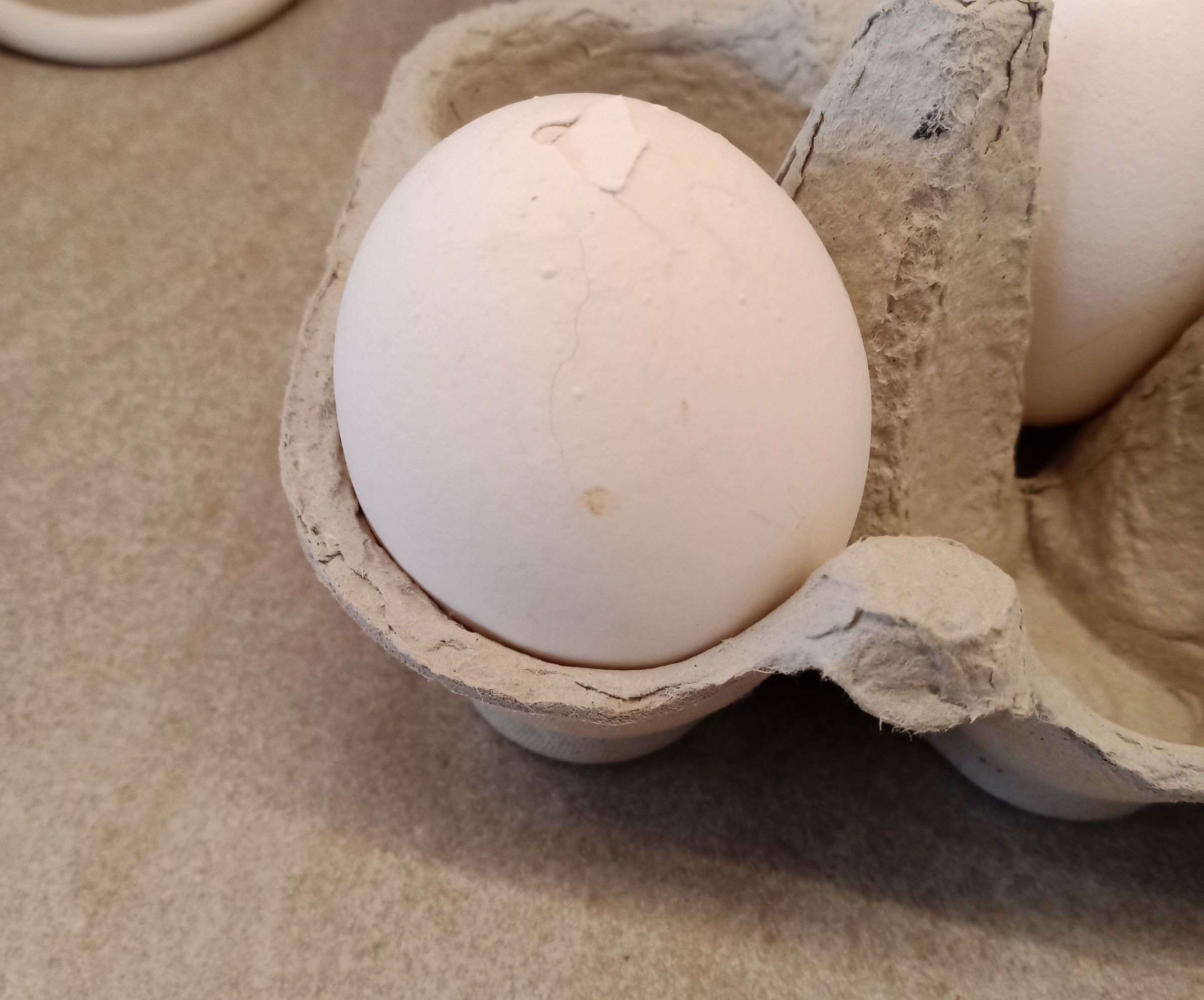 How to Boil a Broken Egg