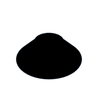 download {{ file.name }}