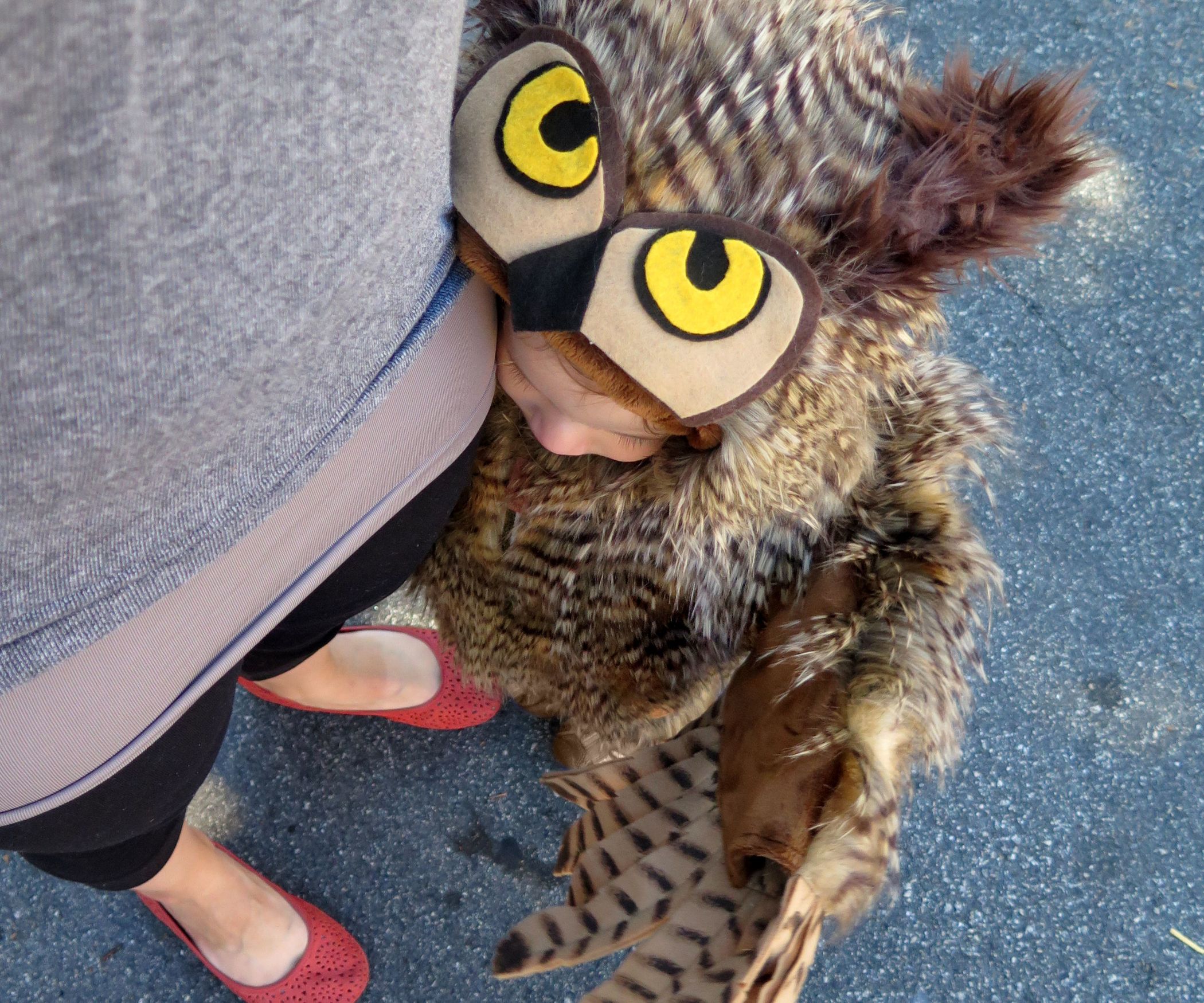 Make an Owl Costume : 13 Steps (with Pictures) - Instructables, image size:2100x1750