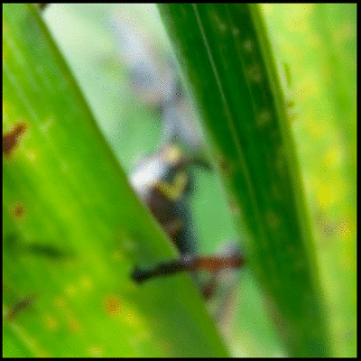 3D Effect of Lytro Light-field Camera