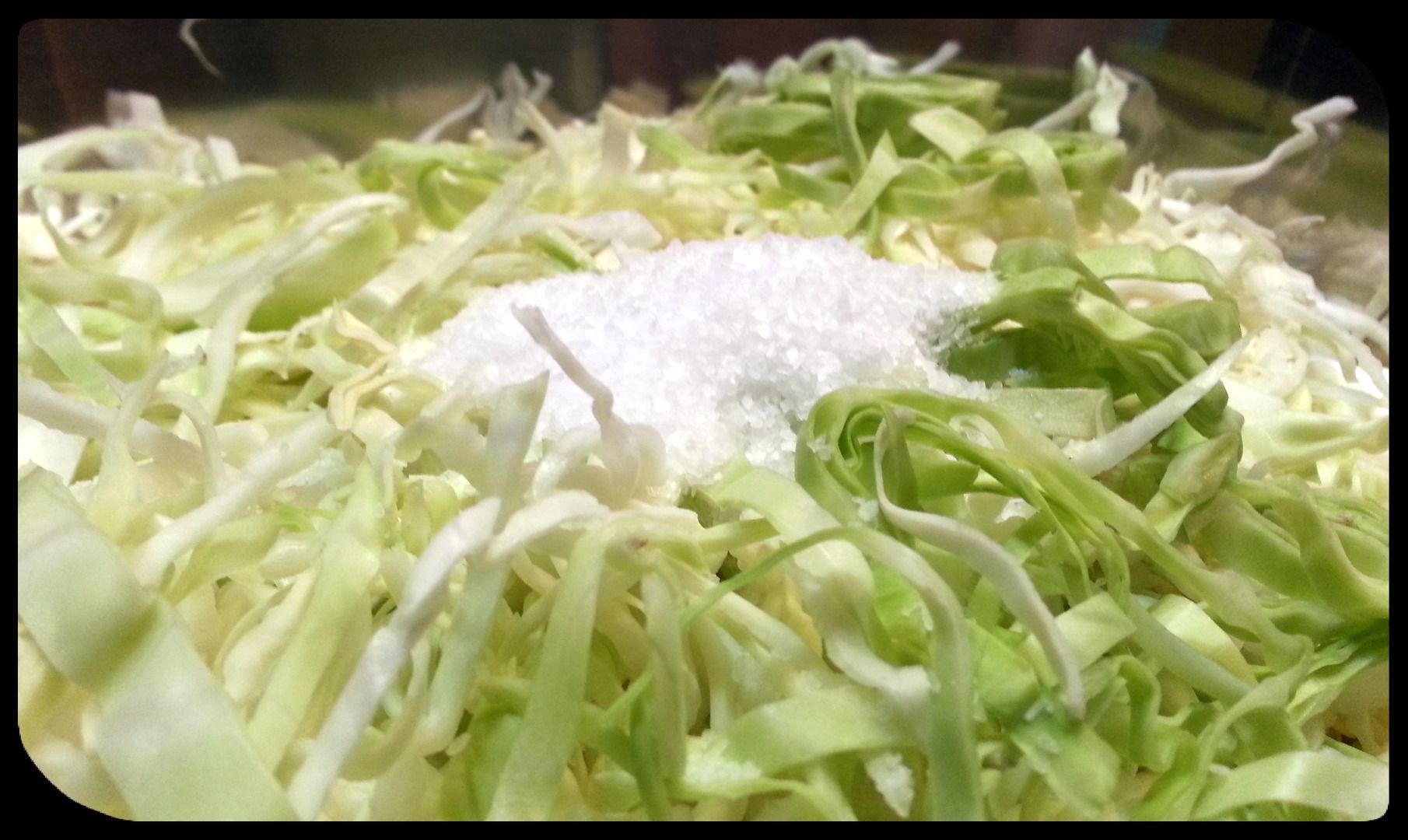 Mason Jar Sauerkraut Made Easy With a Pickle Pipe 4 Steps (with