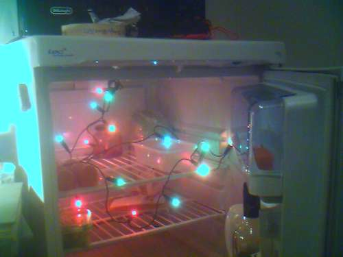 Happy Fridge Lights