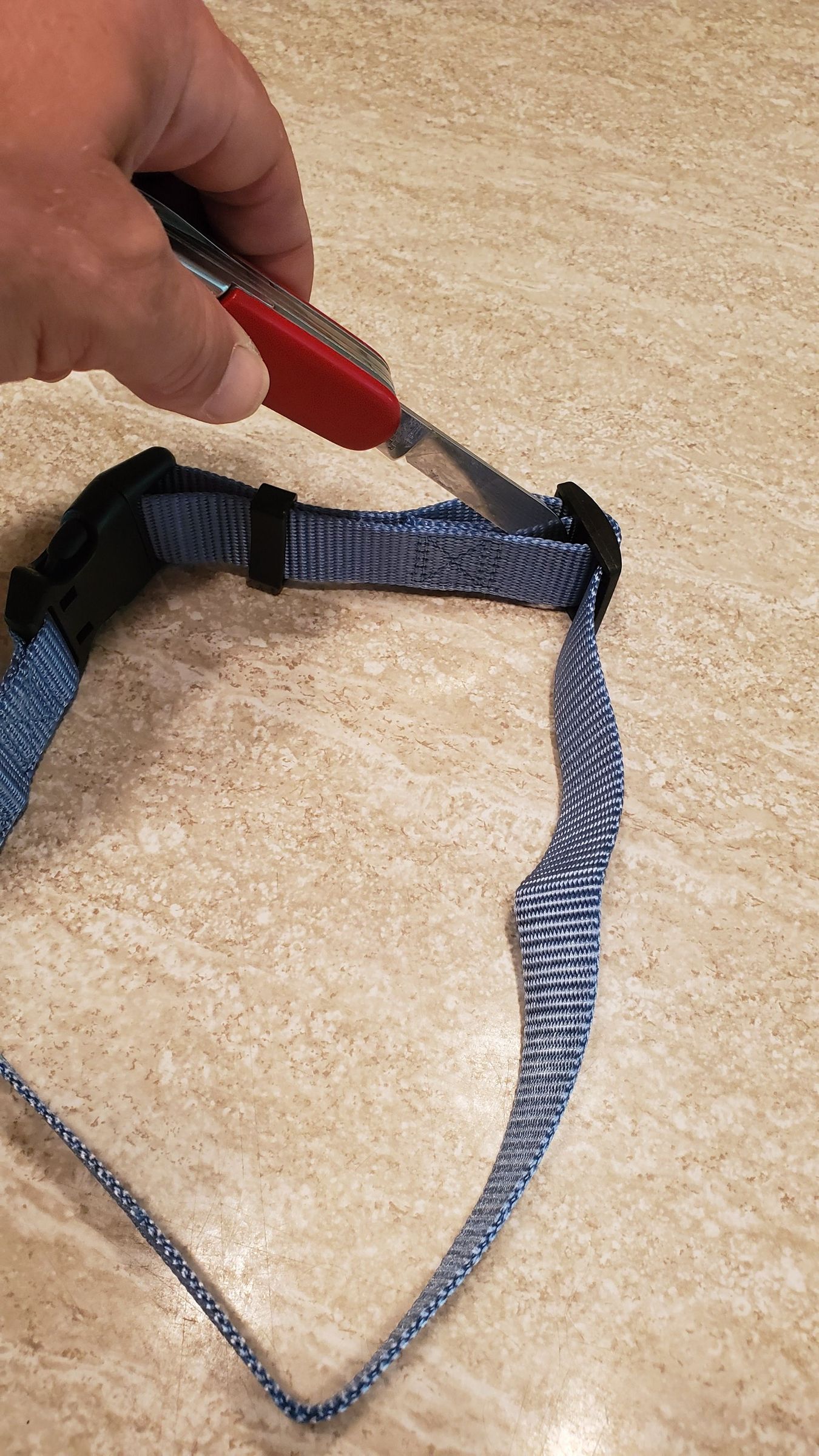 How to Shorten a Dog Collar 3 Steps Instructables