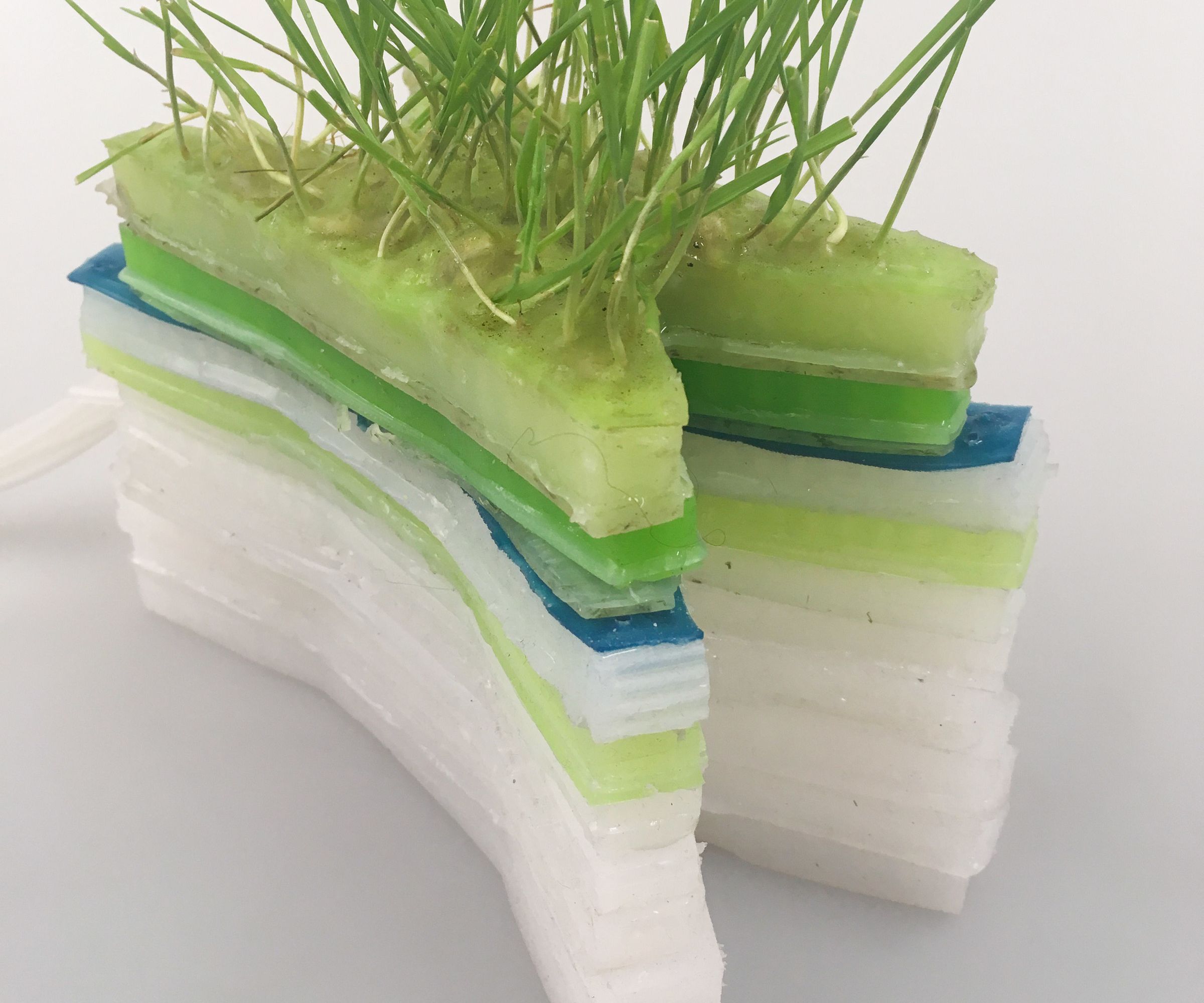 Walking / Crawling Soft Robot