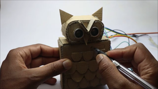 Finishing the Owl