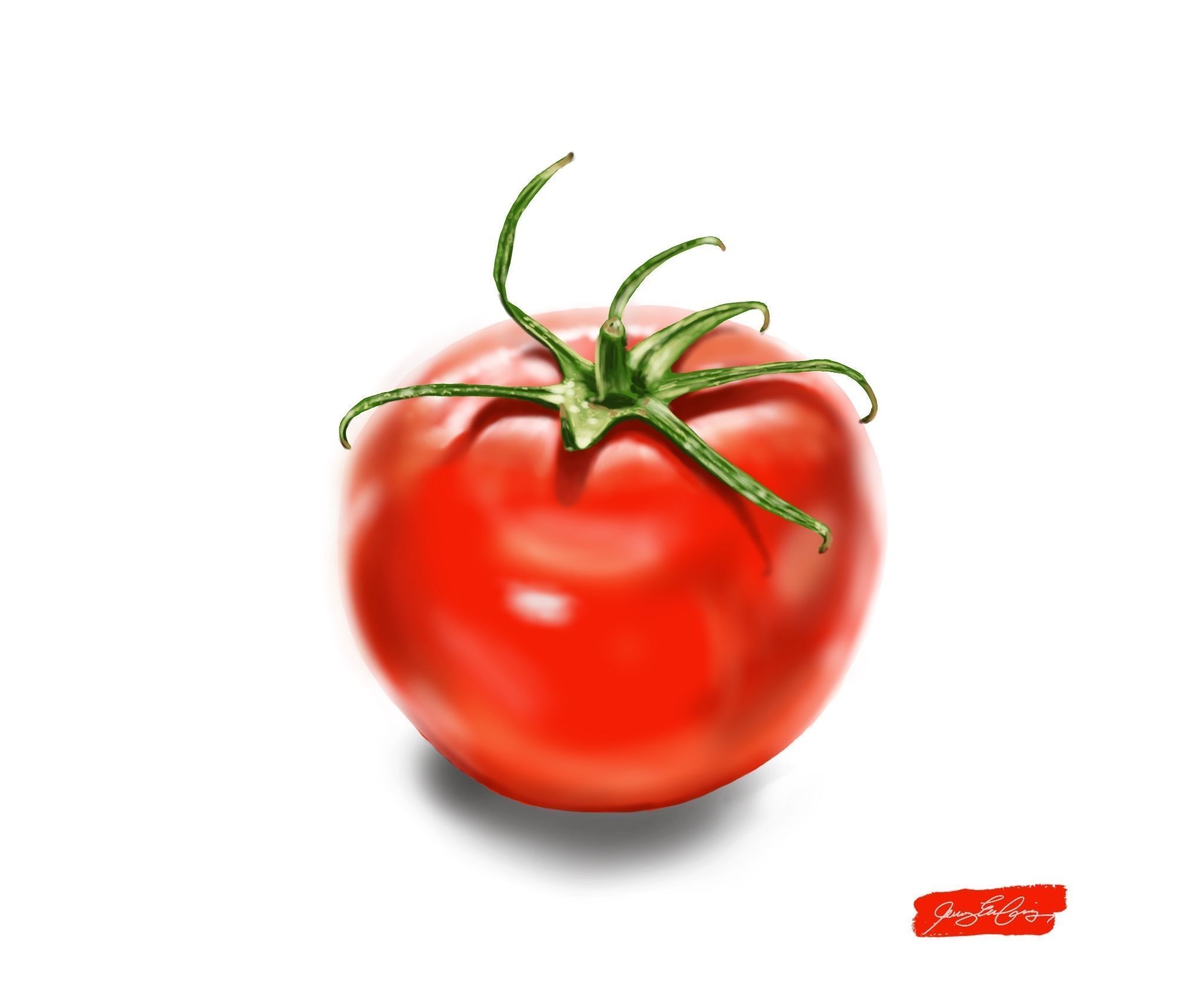 Tomato Digital Painting With Procreate