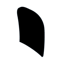 download {{ file.name }}