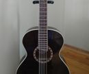 5 String Bass Guitar Out of an Acoustic Guitar