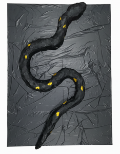 MEXICAN BLACK KING SNAKE