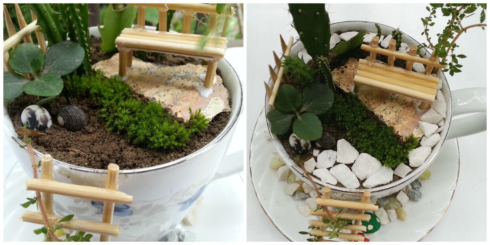 DIY Cup Garden : 9 Steps (with Pictures) - Instructables