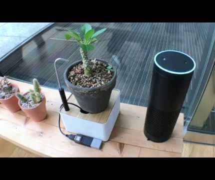 Self-Watering Plant Stand + Amazon Echo Made With MESH IoT Blocks