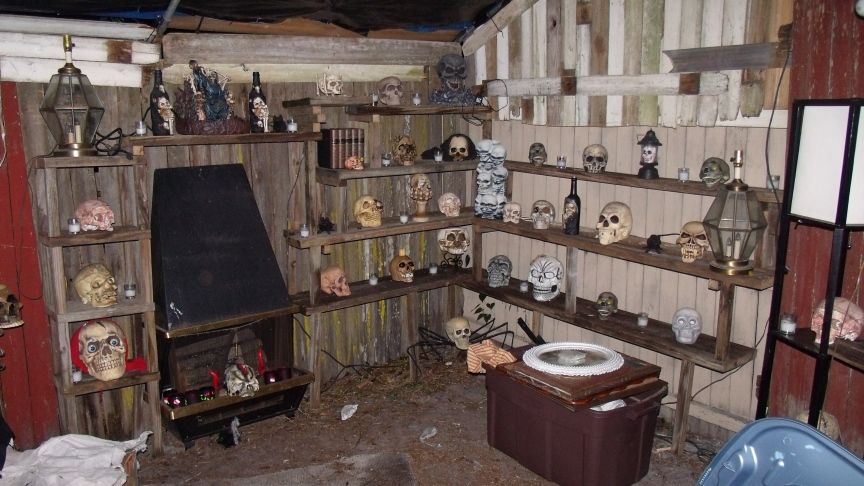 Skull Room Shelves