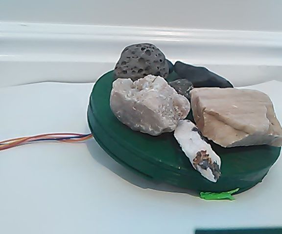 Diy Automatic Food and Water for the Pet
