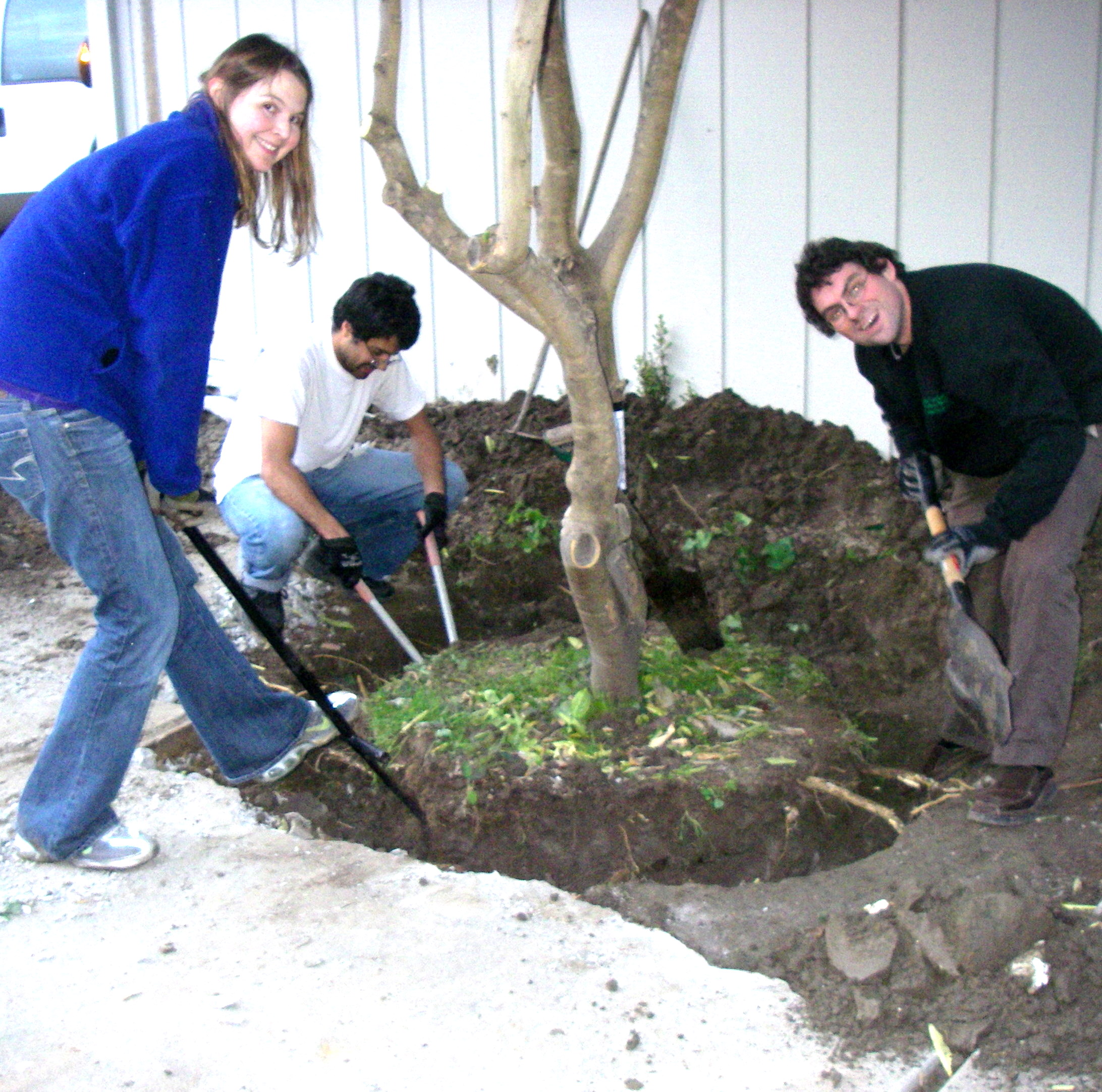 How to Move a Tree, Vehicle and A-frame Method