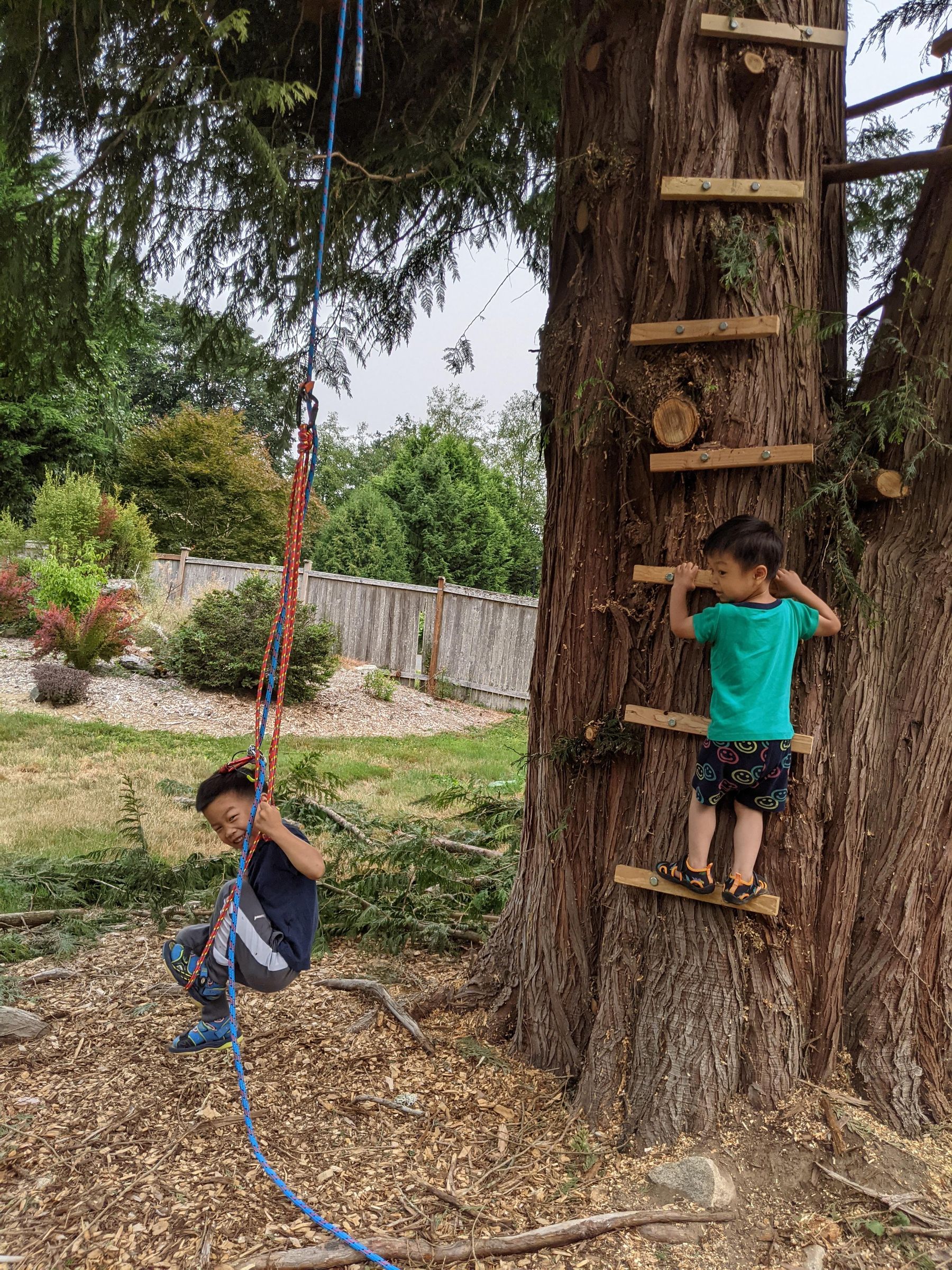 DIY: Build a Ladder and Cut the Tree - Removing Large Trees Near Fences ...