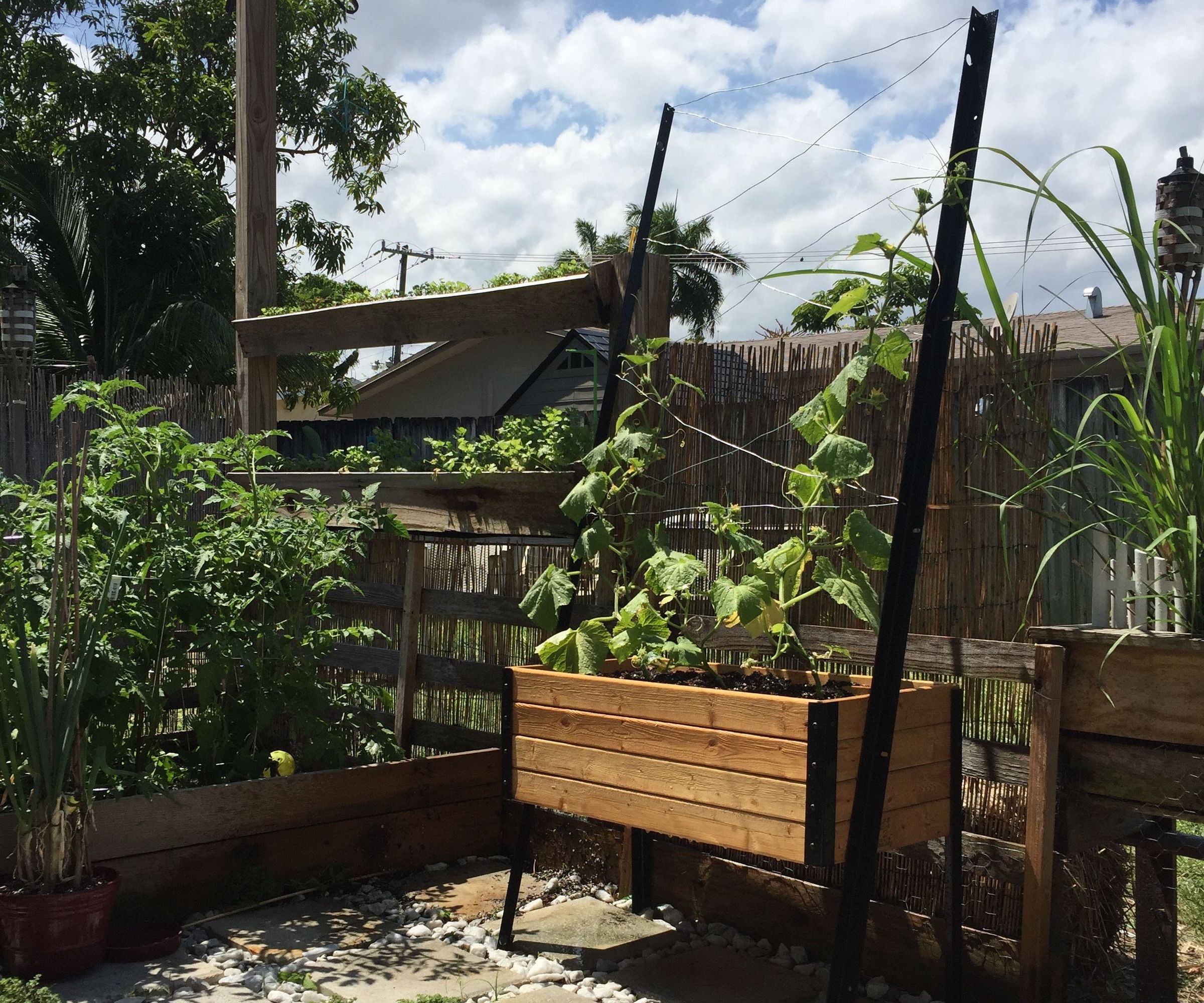 My $10 Reclaimed Climbing Vine Planter Box!
