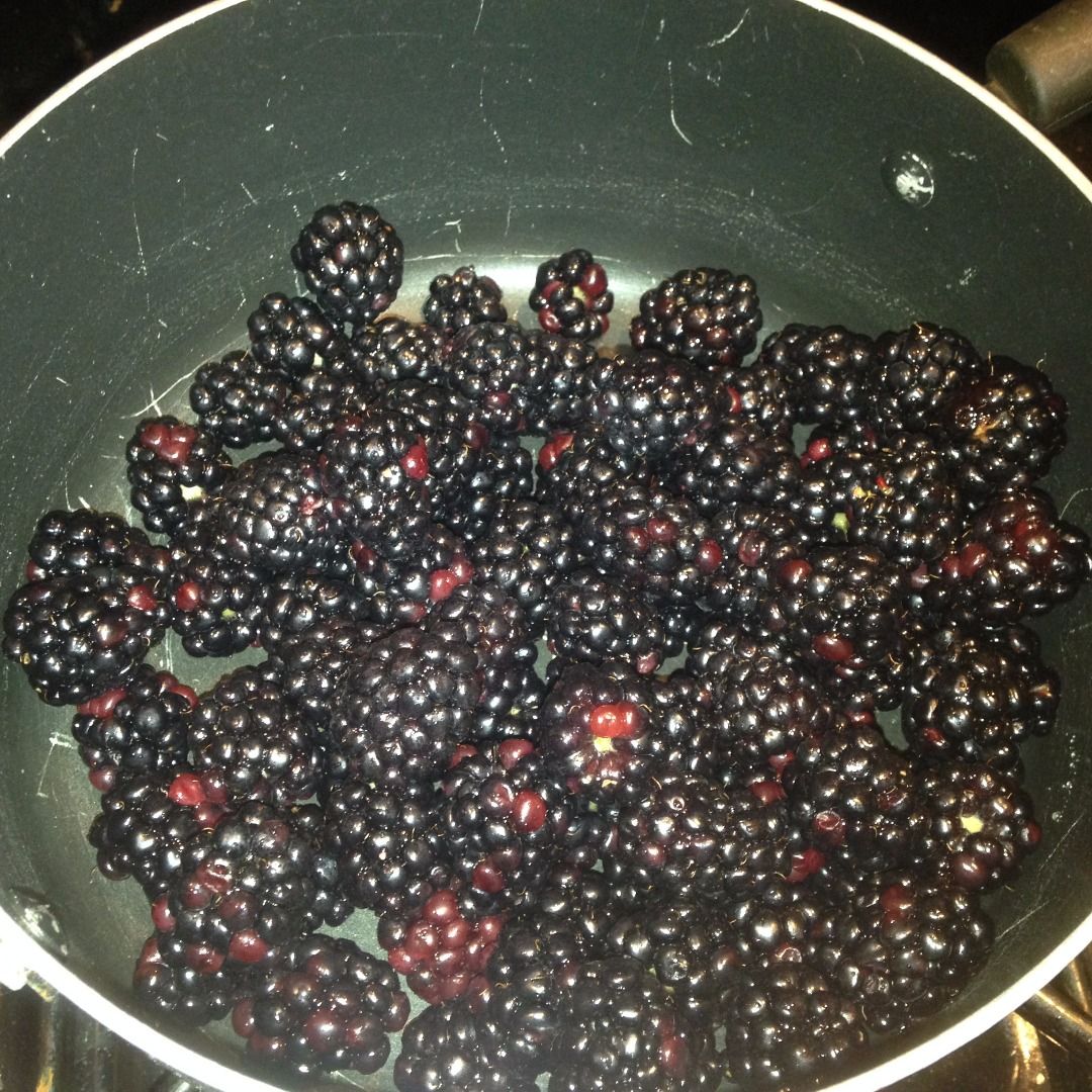 Blackberry Quick Jam 4 Steps (with Pictures) Instructables