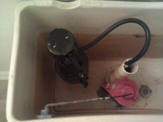 Attack the Bathroom!!!