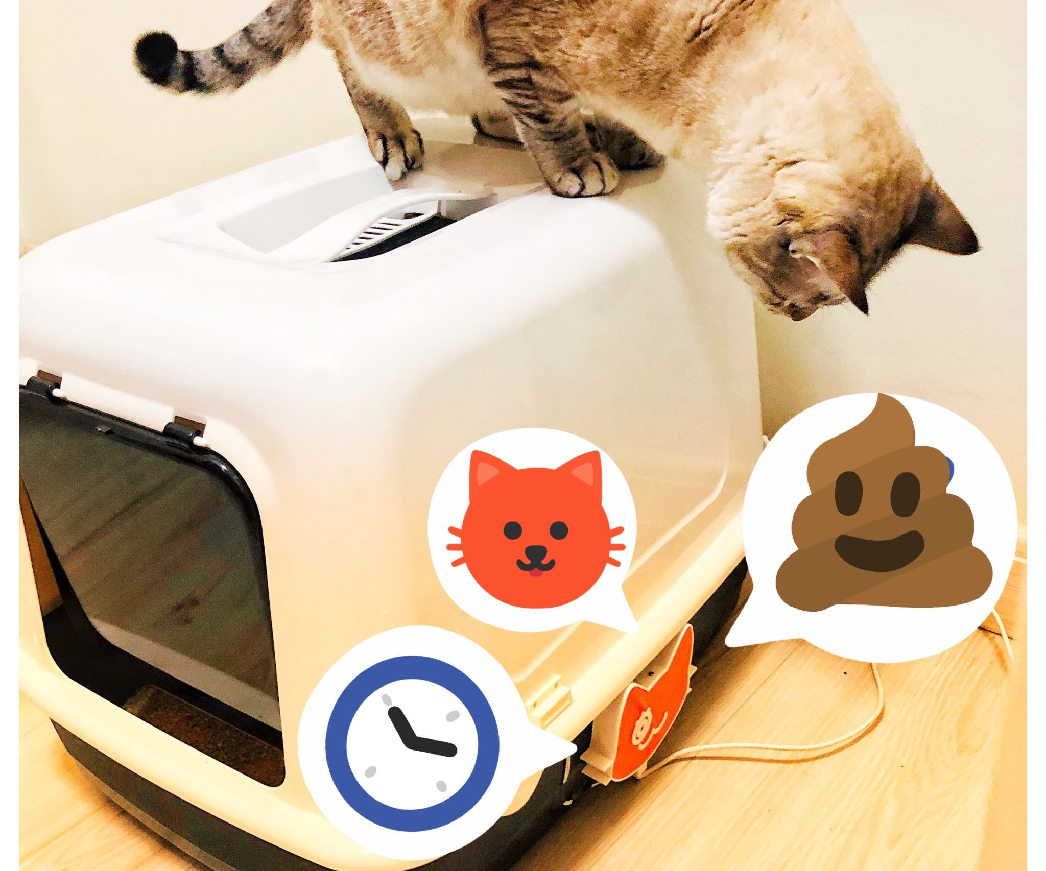 IoT Cat Litter Box (with ESP32, Arduino IDE, Thingspeak and 3D Printing)