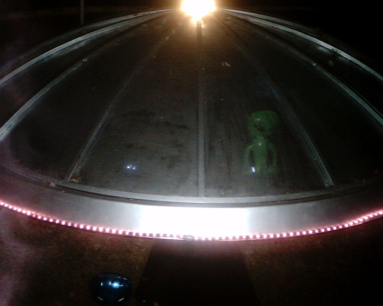 A Flying Saucer Has Landed in My Yard!