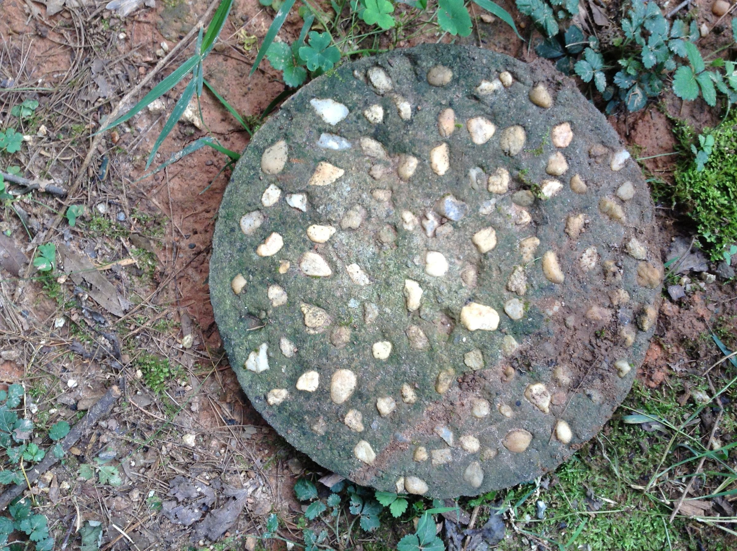 Stepping Stone Toad House