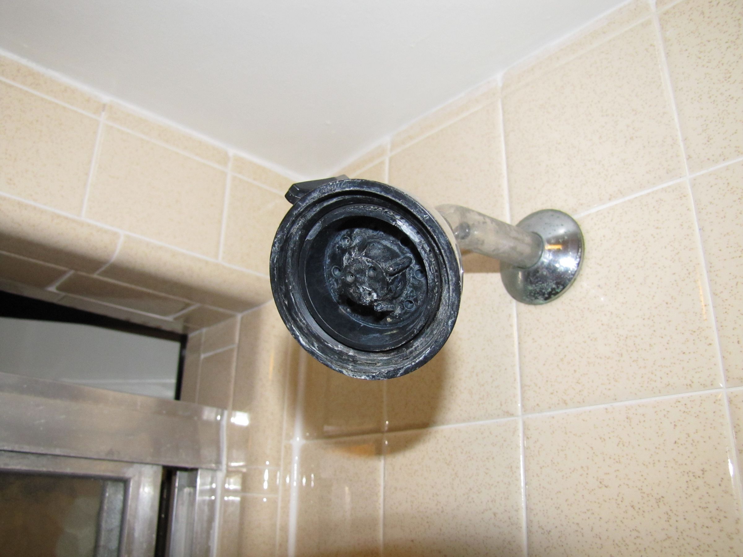 Easy Shower Head Decrustifying