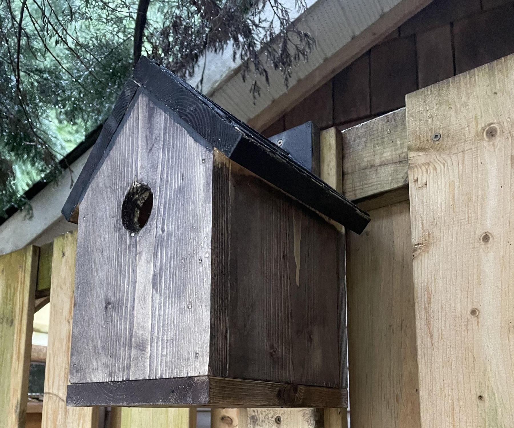 One Board Birdhouse