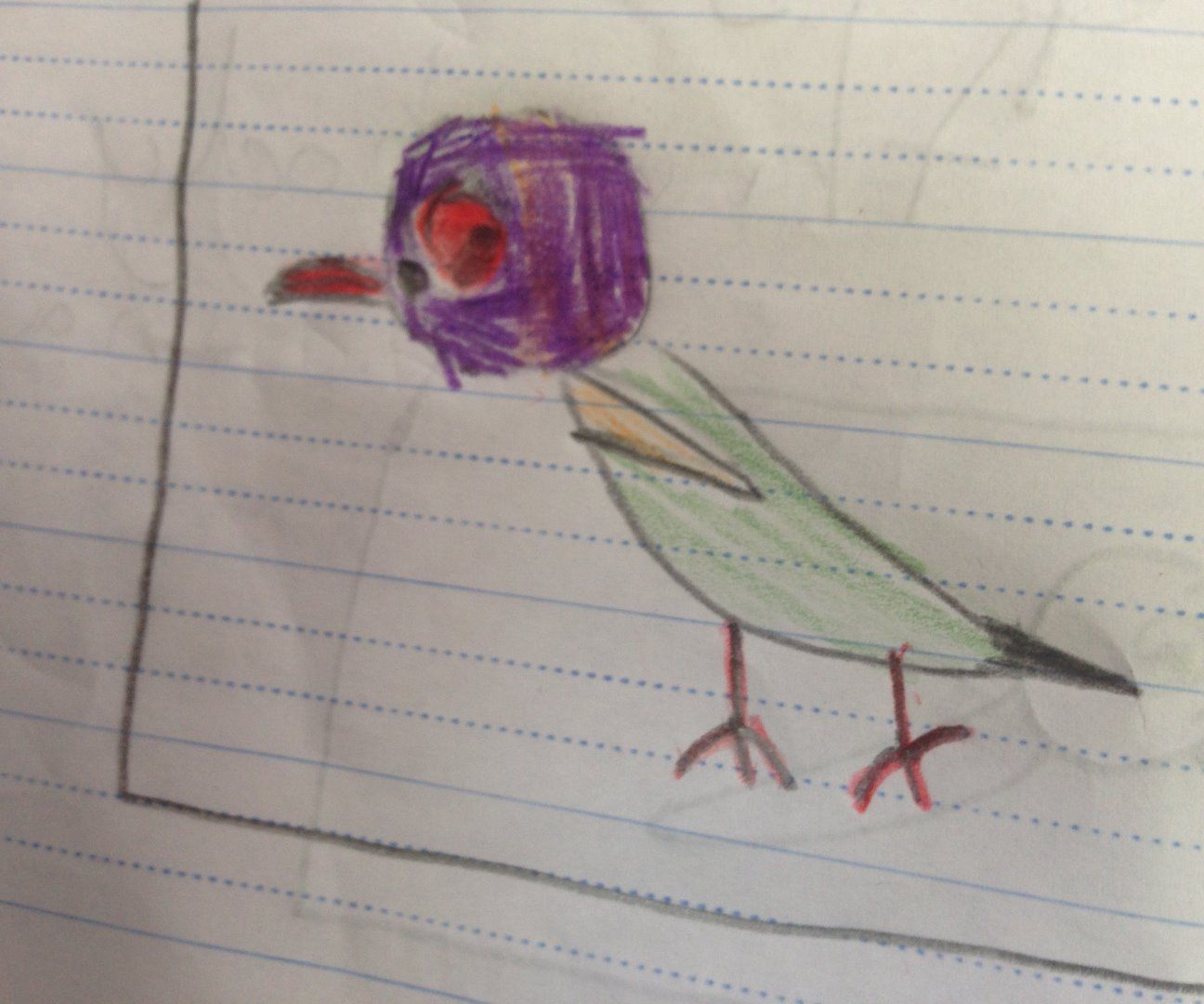 How to draw a rainbow lorikeet