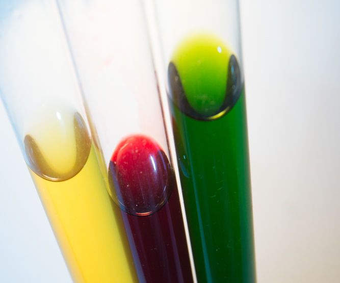 Extract Your Own Plant Dyes for Food, Fabric and Leather.