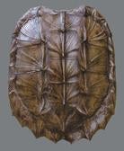 The Hunt, in Practice.