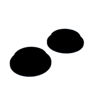 download {{ file.name }}