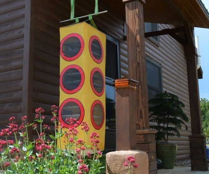 Solar Food Dehydrator