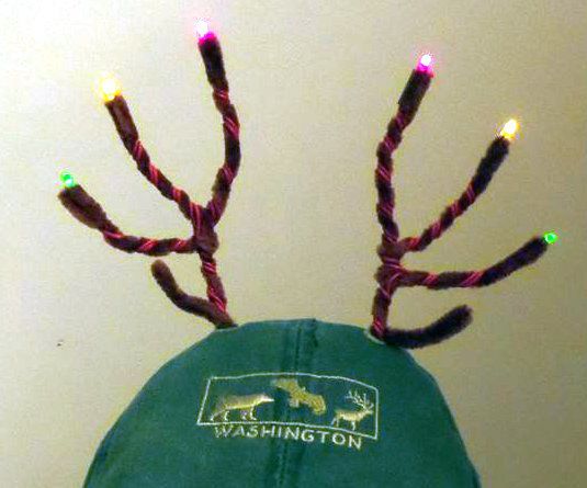 LED Antlers