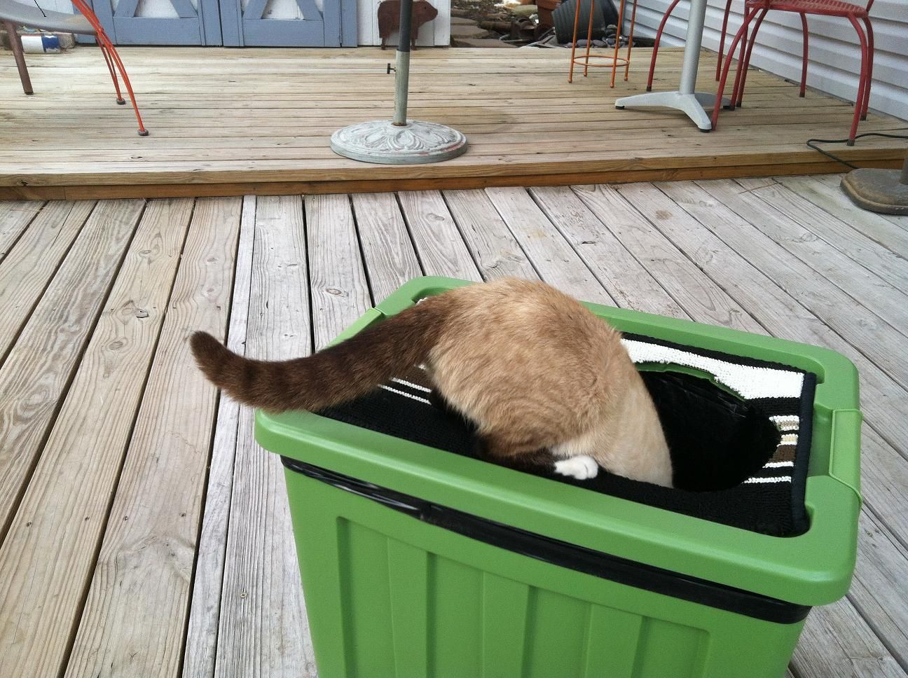 Kitty Litter Box