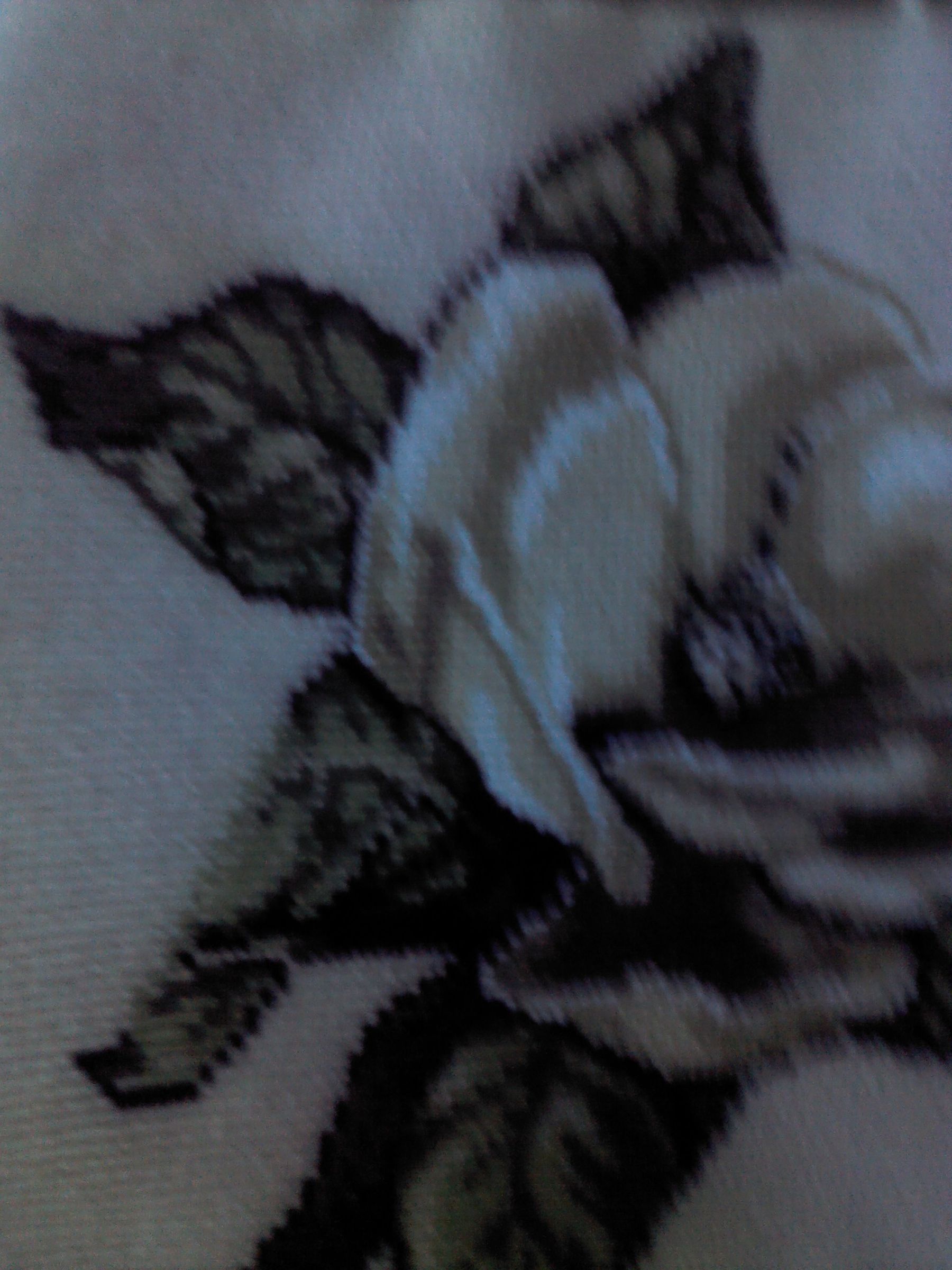 An Original Way to Frame Needlepoint or Cross-stitch Fabrics Asian Style