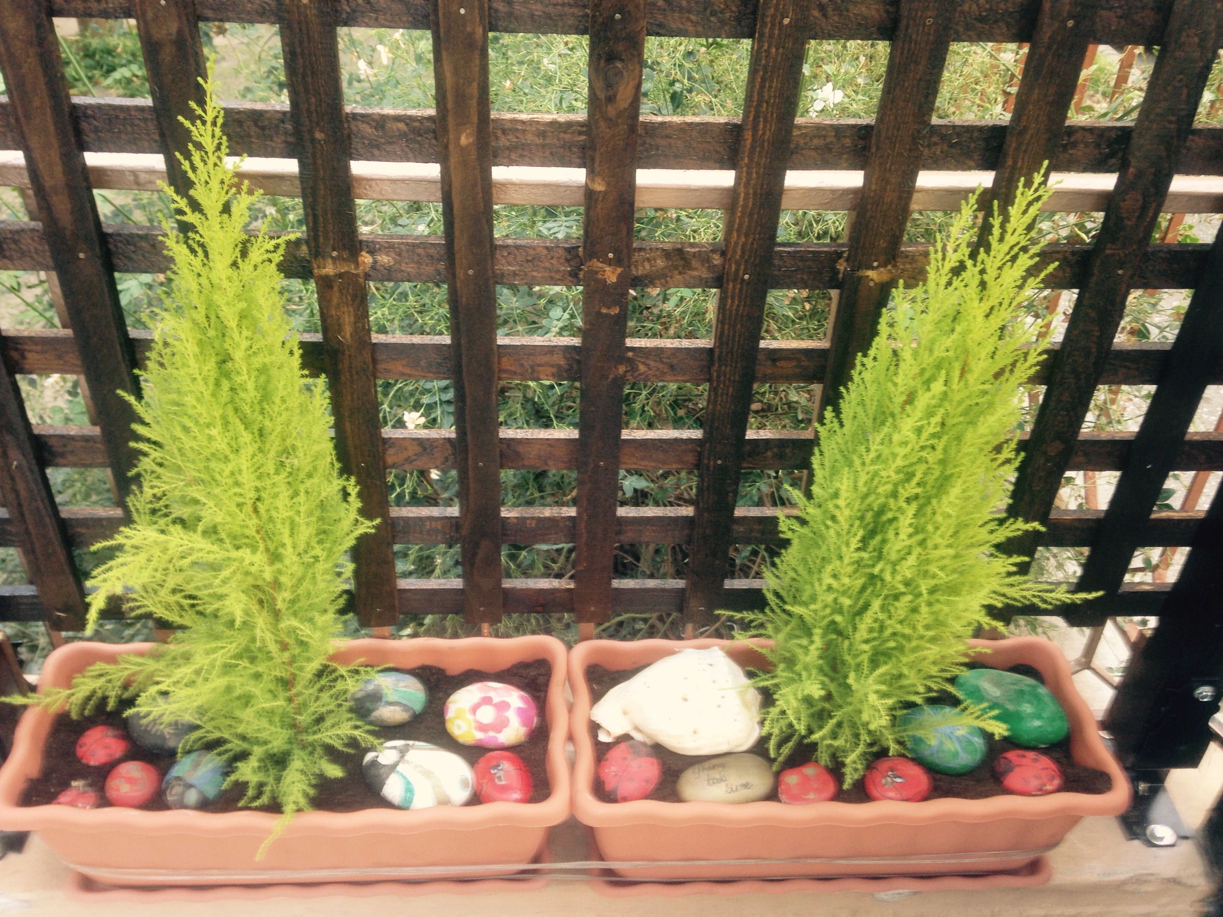 Simple Wooden Trellis 