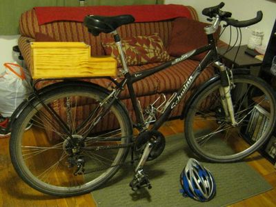 Bicycle Trunk