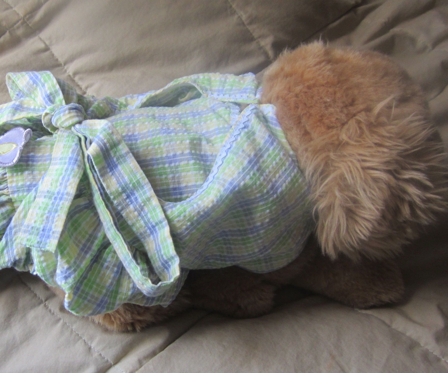 Cat or Dog Spring Dress